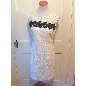 NWT {Ann Taylor} Lace Sheath Dress, 4P